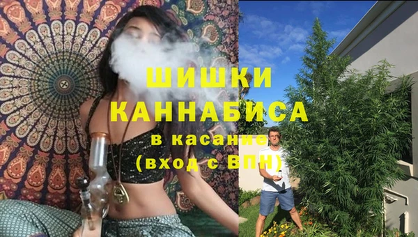 сатива Алексеевка