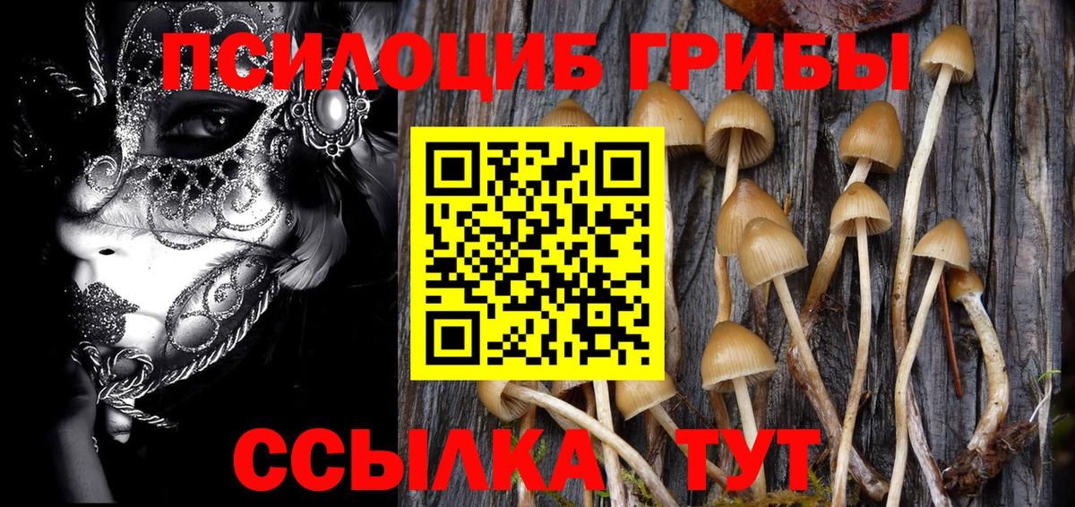 Заинск  Галлюциногенные грибы Magic Shrooms  Вход с VPN 