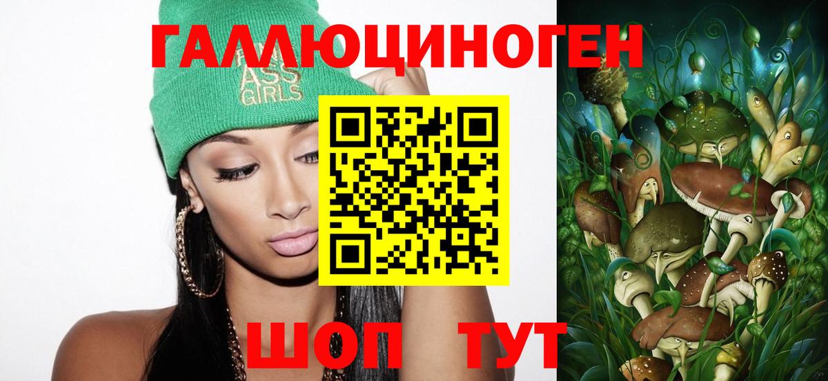 Галлюциногенные грибы Psilocybine cubensis Заинск